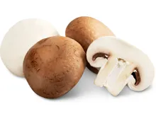 Alle Migros Bio Champignons