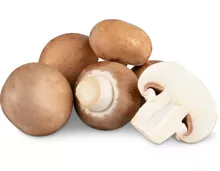 Alle Migros Bio Champignons