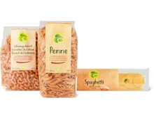 Alle Migros Bio Teigwaren