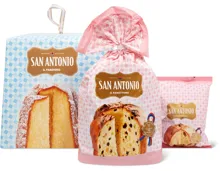 Alle San Antonio-Panettone und -Pandori