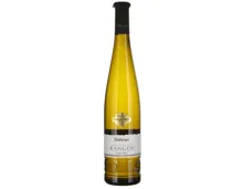 Alsace AOC Pinot Gris Grand Cru Rangen Wolfberger (2019) – Weisswein, Frankreich (0.75l)