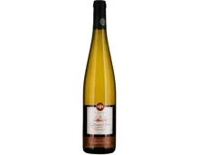 Alsace AOC Sonnenglanz Grand Cru Pinot Gris (2020) – Weisswein, Frankreich (0.75l)