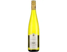 Alsace AOP Gewürztraminer Baron de Hoen Beblenheim (2024) – Weisswein, Frankreich (0.75l)