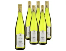 Alsace AOP Pinot Gris Baron de Hoen 6x 75cl (2023) – Weisswein, Frankreich (0.75l)