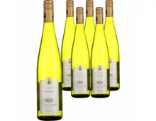 Alsace AOP Riesling Baron de Hoen 6x 75cl