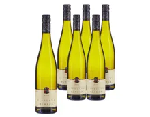 Alsace AOP Riesling Blanck 6x 75cl (2024) – Weisswein, Frankreich (0.75l)