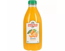 Andros Clementinensaft