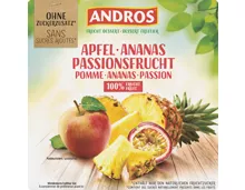 Andros Frucht Dessert Apfel-Ananas-Passionsfrucht