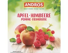 Andros Frucht Dessert Apfel-Himbeere
