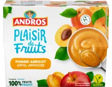 Andros Fruchtsnack Apfel-Aprikose
