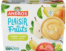 Andros Fruchtsnack Apfel-Birne