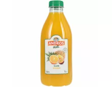 Andros Multi Fruchsaft Exotik