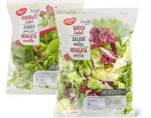Anna's Best-Mischsalat und -Jungblattsalat