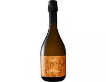 Anno Domini extra dry bio Prosecco DOC Millesimato