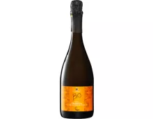 Anno Domini extra dry bio Prosecco DOC Millesimato