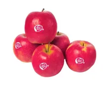 Apfel des Monats Pink Lady