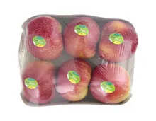 Apfel des Monats SweeTango