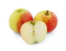 Apfel «Elstar»