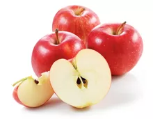 Äpfel Evelina