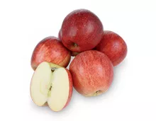 Apfel «Gala»