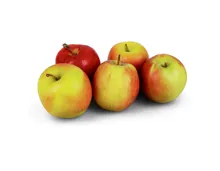 Äpfel Jazz süss-säuerlich IP-Suisse