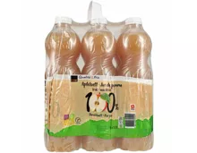 Apfeldirektsaft trüb 6x1.5l