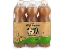 Apfeldirektsaft trüb 6x1.5l