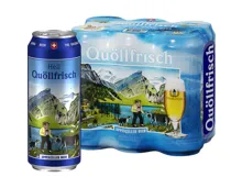 Appenzeller Bier Quöllfrisch 6x50cl