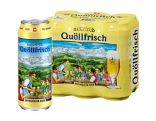 Appenzeller Bier Quöllfrisch naturtrüb 6x50cl