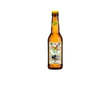 Appenzeller Ginger Beer