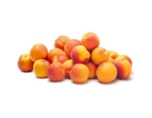 Aprikosen 1.5kg