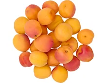 Aprikosen
