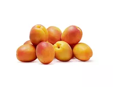 Aprikosen, Frankreich/Italien/Spanien, Packung à 2,5 kg