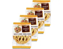 Aprikosen-Törtli 4x 75g