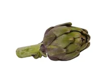 Artischocke 1 Stück