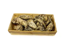 ASC Austern Marennes Fine Nr.3/12 Stück