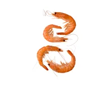 ASC Crevetten gekocht (Aktion nur im Tessin gültig)