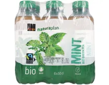 Auf alle Coop Naturaplan Bio-Ice Tea im Multipack nach Wahl