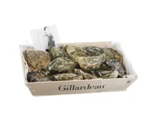 Austern Gillardeau Nr.3 12 Stück