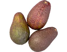 Avocado