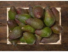 Avocado