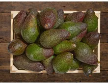 Avocado