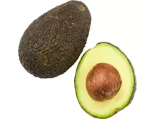 Avocado Hass