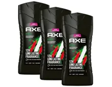 Axe Dusch & Deo