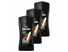 Axe Duschgel Africa 3x 250ml