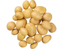 Baby-Kartoffeln im Körbli