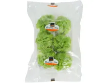 Baby-Salat 6 Stück