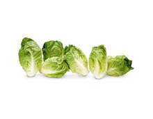 Baby-Salat 6 Stück