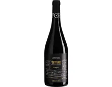 Bajo Aragón IGP Terrae Mas de Aranda Bodegas Tempore (2021) – Rotwein, Spanien (0.75l)