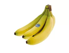 Bananen Chiquita